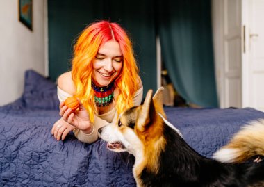 Turuncu saçlı mutlu bir kadın bir köpekle yatakta yatıyor. Çekici yaratıcı gülümseme ve köpek kuyruğunu sallıyor. Kız ve Corgi 'si eğleniyor.
