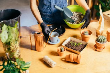 Tanımlanamayan ev kadınlarının ellerinin üst görüntüsü seramik bir tencereyi toprak ile doldurarak ev bahçesini hobi olarak temsil eden fideleri ekiyor. Metin ya da tasarım eklemek için boşluk resmini kopyala.