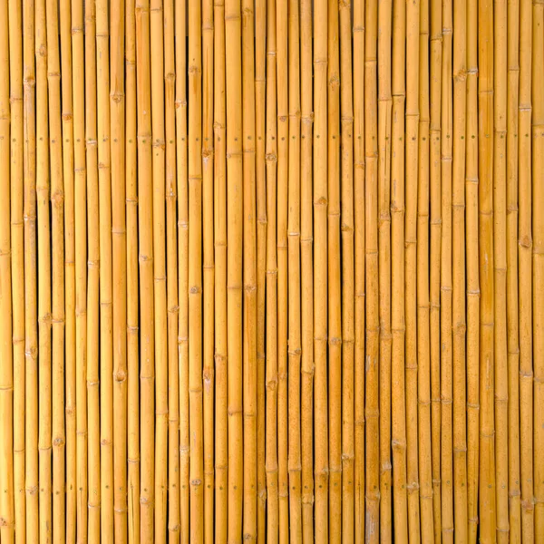 喫茶店の黄色い竹の質感の背景 — ストック写真