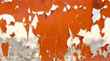 Eski orangutan çimento arka planı