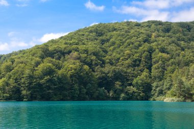 Hırvatistan 'ın Pltivice Gölleri Ulusal Parkı' ndaki yüksek göl manzarası
