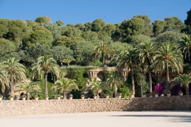 Park Guell 'de Doğa Meydanı, İspanya' da Barselona
