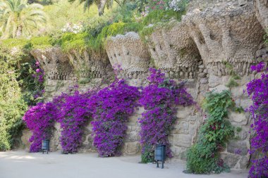 Park Guell 'de Doğa Meydanı, İspanya' da Barselona