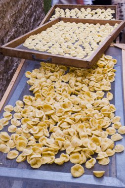 Orecchiette, tipik İtalyan el yapımı makarna Bari, Apulia, İtalya 'dan.