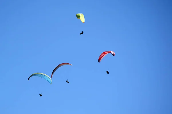 패러글라이딩을 무리가 하늘로 날아가는 — 스톡 사진