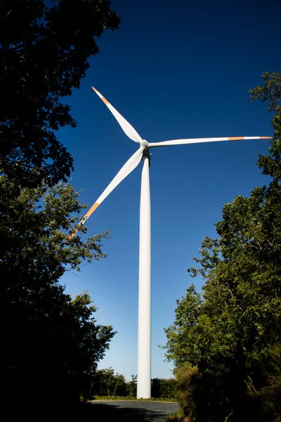 Photographic Documentation Wind Turbine Production Electricity Installed Woods — Stock Photo, Image