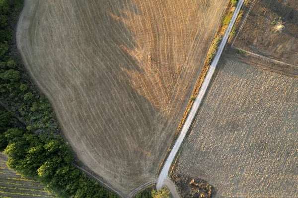 Letecká Fotografická Dokumentace Konformace Zemědělské Půdy Podzimní Sezóně — Stock fotografie