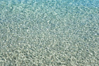 Denizin renklerini ve şekillerini gösteren fotografik belgeler 