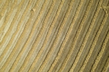 Aerial photographic documentation of the straw drying phase before harvesting