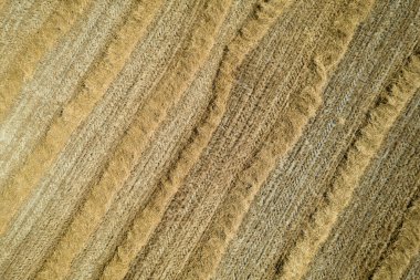 Aerial photographic documentation of the straw drying phase before harvesting