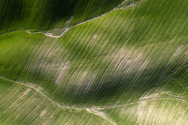 Documentação Fotográfica Aérea Das Formas Dos Campos Cultivados Toscana Itália — Fotografia de Stock