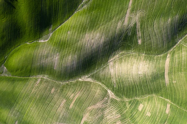 Documentação Fotográfica Aérea Das Formas Dos Campos Cultivados Toscana Itália — Fotografia de Stock
