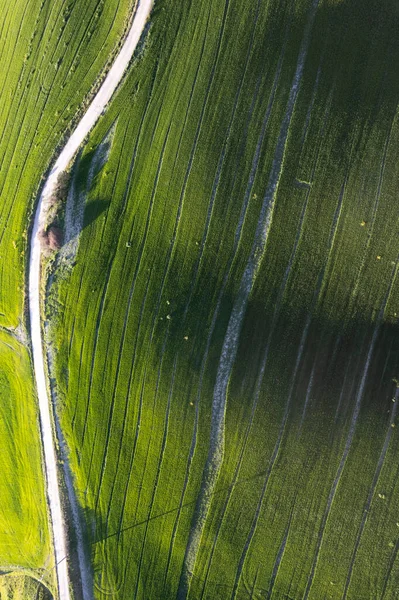 Аэрофотодокументация Зеленого Цвета Поля Весной — стоковое фото