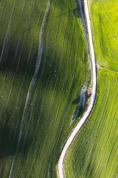 Aerial Photographic Documentation Green Color Field Spring — Stock Photo, Image