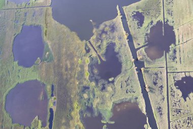 Tuscany Gölü 'nün bataklık bölgesinin hava fotoğrafları. 
