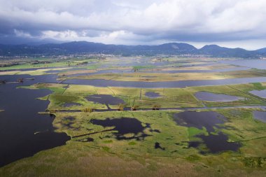 Tuscany Gölü 'nün bataklık bölgesinin hava fotoğrafları. 