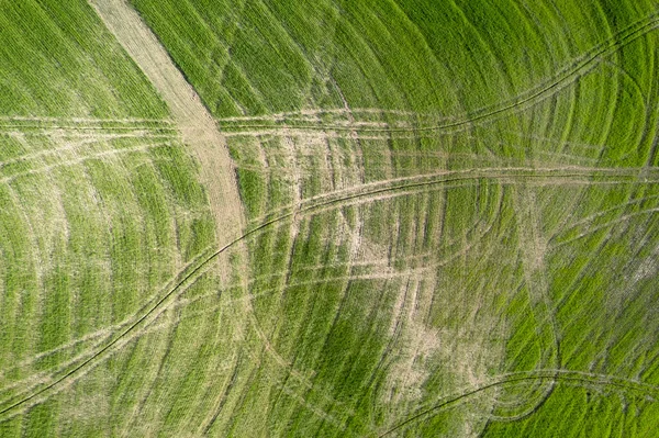 トスカーナの蒸留後に残された図面の空中写真ドキュメントイタリア — ストック写真