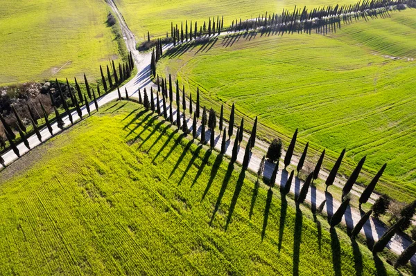 Aerial Photographic Documentation White Road Tuscany Italy — Stock Photo, Image