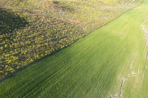 Aerial Photographic Documentation Colors Countryside Spring — Stock Photo, Image