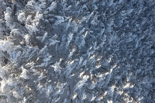 Εναέρια Φωτογραφική Τεκμηρίωση Πλήρως Καλυμμένου Χιόνι Δάσους — Φωτογραφία Αρχείου