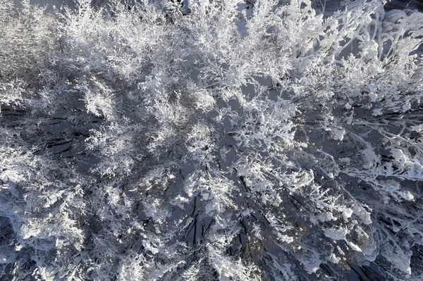 Documentación Fotográfica Aérea Bosque Completamente Cubierto Nieve —  Fotos de Stock