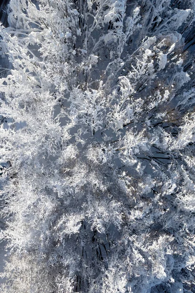 Εναέρια Φωτογραφική Τεκμηρίωση Πλήρως Καλυμμένου Χιόνι Δάσους — Φωτογραφία Αρχείου
