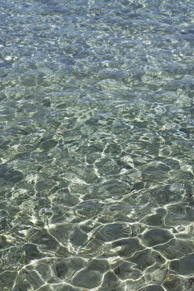 Photographic documentation of the transparency of sea water in the summer season