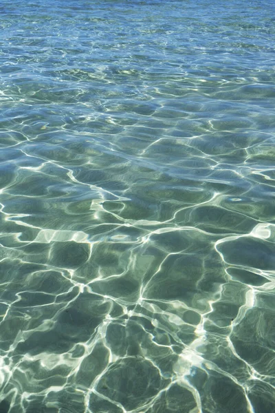 Photographic documentation of the transparency of sea water in the summer season