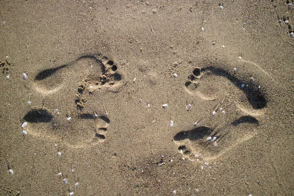 Photographic documentation footprints of people on gray sand