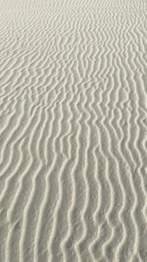 Rüzgâr tarafından şekillendirildikten hemen sonra sahilin video kayıtları. 