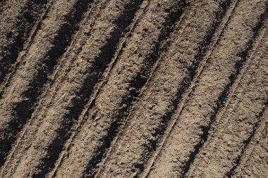 Paralel çizgileri olan, ekilmeye hazır bir tarlanın havadan görüntüsü. Karanlık ve bereketli toprak düzenli çizgilerle yarılır ve geometrik bir desen oluşturur.. 