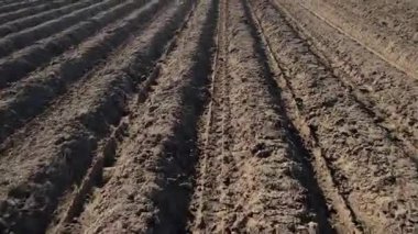 Paralel çizgileri olan, ekilmeye hazır bir tarlanın havadan çekilmiş video kayıtları. Karanlık ve bereketli toprak düzenli çizgilerle yarılır ve geometrik bir desen oluşturur.. 