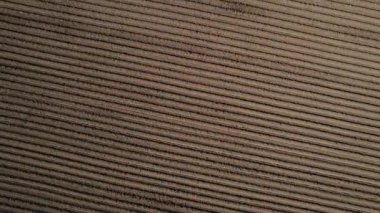 Paralel çizgileri olan, ekilmeye hazır bir tarlanın havadan çekilmiş video kayıtları. Karanlık ve bereketli toprak düzenli çizgilerle yarılır ve geometrik bir desen oluşturur.. 