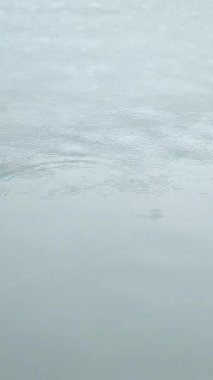 Işık eşmerkezli çemberleri belgeleyen video yağmurun düşmesi nedeniyle bir su kütlesinin sakin yüzeyinde yayılıyor. 