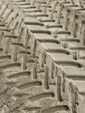 Aydınlık ve düzgün kumlu yüzeye basılmış lastik izlerinin fotoğraflı belgesi.