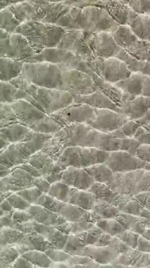 Yüzey dalgalanmalarının video dökümanları aşağıdaki hafif kumda dinamik bir şablon oluşturuyor sığ suda ve parlak bir ışıkla aydınlatılıyor.. 
