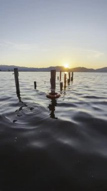 Torre del Lago Puccini 'nin kıyılarından yansıyan altın bir duygu olan Massaciuccoli Gölü' nde güneşin doğuşunun video kayıtları.. 