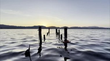 Torre del Lago Puccini 'nin kıyılarından yansıyan altın bir duygu olan Massaciuccoli Gölü' nde güneşin doğuşunun video kayıtları.. 
