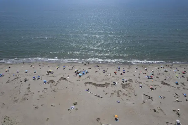 Yüzen ve renkli şemsiyeli doğal bir sahilin havadan görünüşü, yaz, özgürlük ve deniz kıyısında dinlenme.. 