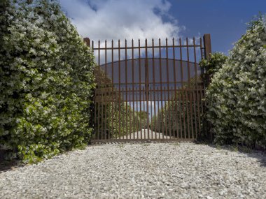 # Çerçevelenmiş demir kapı # # Çiçekli yıldız yasemin çitleri # # Mavi gökyüzünün altında #. 