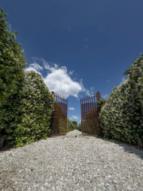 # Çerçevelenmiş demir kapı # # Çiçekli yıldız yasemin çitleri # # Mavi gökyüzünün altında #. 