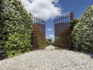 # Çerçevelenmiş demir kapı # # Çiçekli yıldız yasemin çitleri # # Mavi gökyüzünün altında #. 