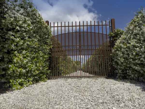 # Çerçevelenmiş demir kapı # # Çiçekli yıldız yasemin çitleri # # Mavi gökyüzünün altında #. 