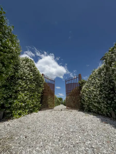 # Çerçevelenmiş demir kapı # # Çiçekli yıldız yasemin çitleri # # Mavi gökyüzünün altında #. 