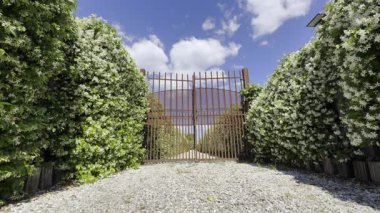 Yay bulutlu mavi bir gökyüzünün altında çiçek açan yıldız yaseminlerinin çerçevelediği işlenmiş demir kapılı bir giriş videosu..