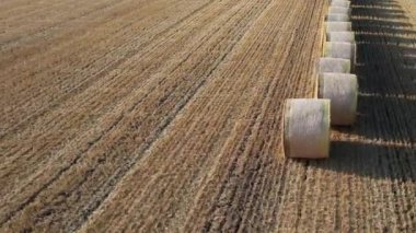 Güneşin altındaki altın saman balyalarının hava görüntüsü, kırsal kesimin özü. 