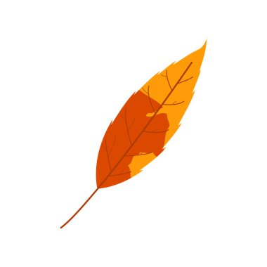 Solmuş sonbahar yaprakları. Değişik dokuya sahip düşmüş yaprak.