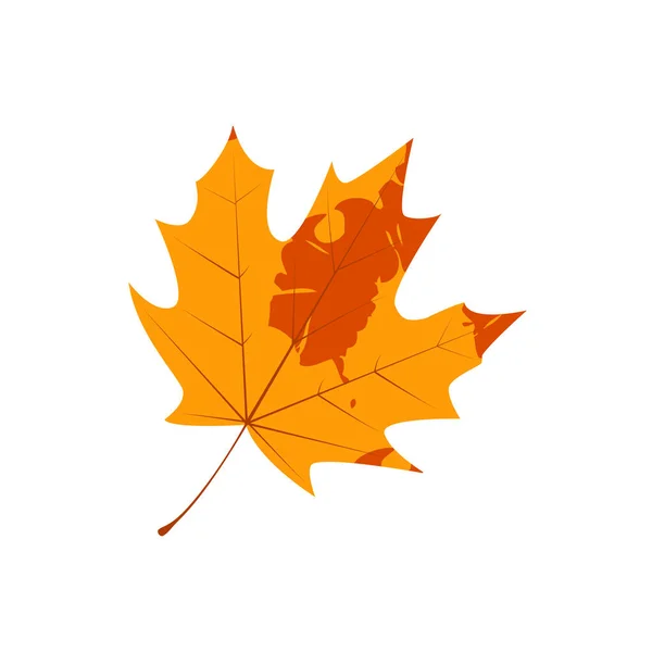 Withered Autumn Maple Leaf Fallen Leaf Notley Texture — Stok Vektör