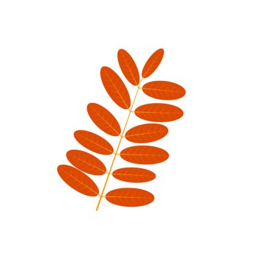 Düz yaprak dalı silueti. Doldurulmuş yaprak kabartması.