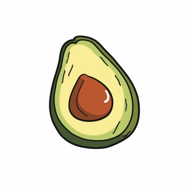 Vektör avokado çizim. Beyaz arka plan üzerinde izole bütün ve kesme avokado.